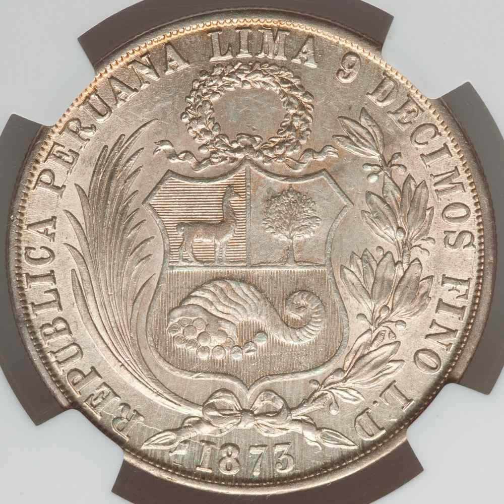 コレクション 1934 PERU SOL NGC AU DETAILS PERU 1934 UN SOL NGC AU DETAILS CLEANED | eBay