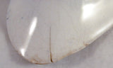 Wedgwood Bone Dishes