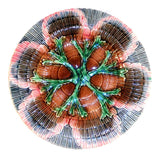 Antique Griffin, Smith and Hill Etruscan Shell & Seaweed 9 1/4" Majolica Plate