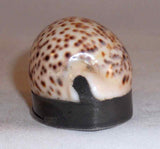 Antique English Cowrie Shell Pocket Snuffbox Snuff Box Pewter Mounted Hinged Lid