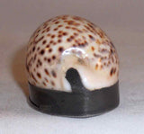 Antique English Cowrie Shell Pocket Snuffbox Snuff Box Pewter Mounted Hinged Lid