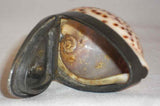 Antique English Cowrie Shell Pocket Snuffbox Snuff Box Pewter Mounted Hinged Lid