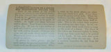 Stereoview Black Americans Gathering Cotton