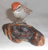 1994 Carved Wood Painted Chipping Sparrow Wood base William (Bill) Faix NE MD