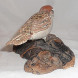 1994 Carved Wood Painted Chipping Sparrow Wood base William (Bill) Faix NE MD