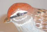 1994 Carved Wood Painted Chipping Sparrow Wood base William (Bill) Faix NE MD