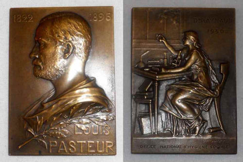 1910 Art Nouveau Prud'homme Plaque Louis Pasteur Award National Social Hygiene