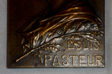 1910 Art Nouveau Prud'homme Plaque Louis Pasteur Award National Social Hygiene