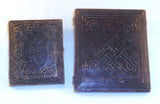 2 Antique Daguerreotype Photos of Children Boy Sitting & Girl Standing w/ Purse