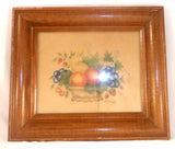 Sally Anderson Framed Folk Art Hand Painted Theorem Butterfly on Fruit Basket