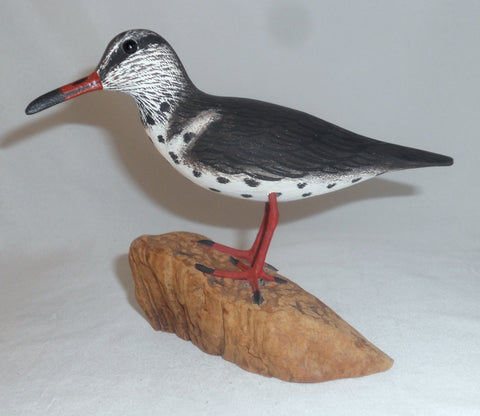 1994 Carved Wood and Painted Shore Bird Driftwood Base John & Patty Waterfield