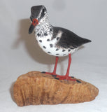 1994 Carved Wood and Painted Shore Bird Driftwood Base John & Patty Waterfield