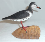1994 Carved Wood and Painted Shore Bird Driftwood Base John & Patty Waterfield