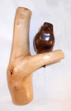 1999 Lacquered Hand Carved Wood Bird Perched on Branch Lohnes, Leavenworth WASH.