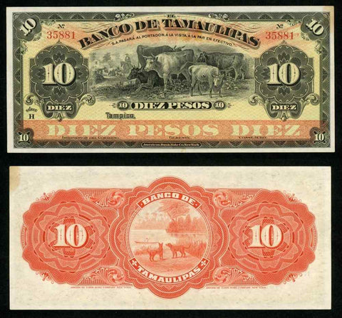 1902 Mexico Banco De Tamaulipas 10 Pesos Remainder Banknote Cattle Scene P S430c