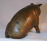 Pig Penny Bank