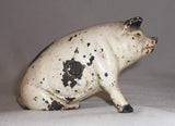 Antique Figural Cast Iron Painted Still Penny Bank Pig or Hog Sitting on Hind Legs