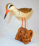 Vintage Carved Wood Polychrome Painted Shorebird Decoy Glass Eyes