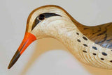 Vintage Carved Wood Polychrome Painted Shorebird Decoy Glass Eyes