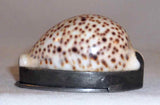 Antique English Cowrie Shell Pocket Snuffbox Snuff Box Pewter Mounted Hinged Lid