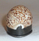 Antique English Cowrie Shell Pocket Snuffbox Snuff Box Pewter Mounted Hinged Lid